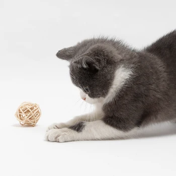 2шт Игрушка для кошек, домашний Ротанговый мяч, игрушка для кошек, Забавный Кошачий колокольчик из искусственного пера, Котенок, играющий в интерактивные игрушки с мячом для кошек